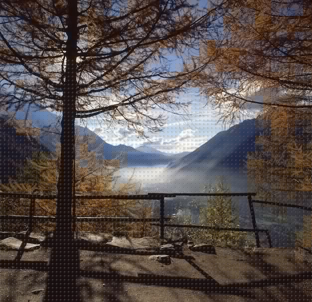 搜狗输入法下载越南文教程：轻松解决安装难题，快速实现流畅输入 一